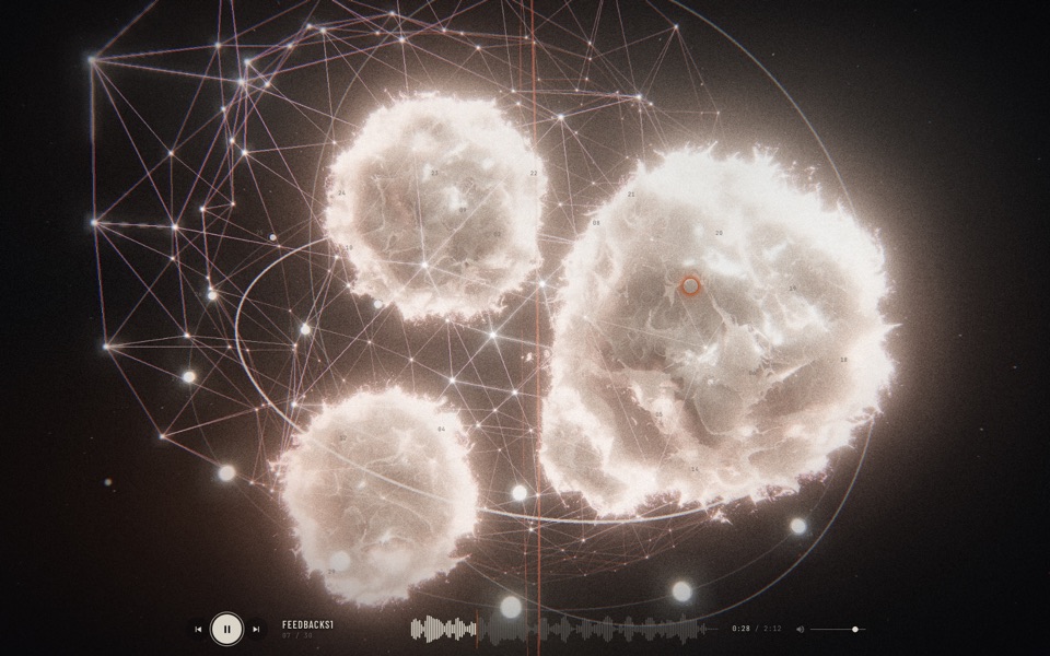 Modular organisms